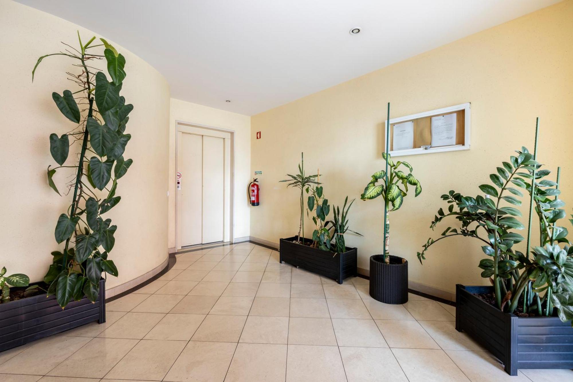 Apartamentos Mira Rio ラゴス エクステリア 写真